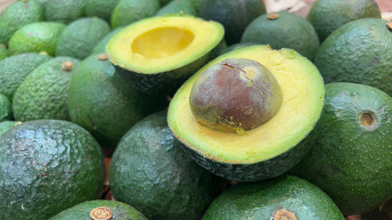 Canarias triplica en un año la exportación de aguacates