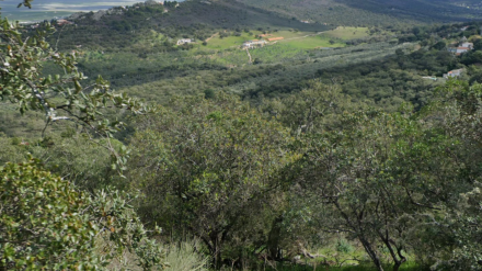 El litio se extraería del valle de Valdeflores en Cáceres