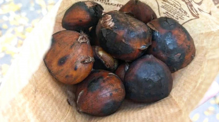 Castaña asada, una tradición del otoño