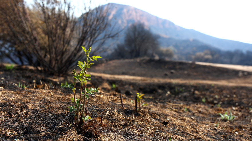 Efectos del incendio iniciado en la localidad de Yeres (León), y que ha afectado al paraje de Las Médulas
