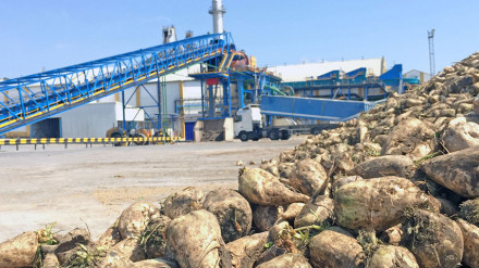 Azucarera del Guadalete