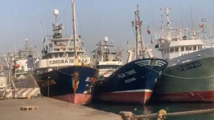 Atuneros vascos amarrados en Senegal