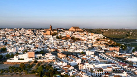 Montilla