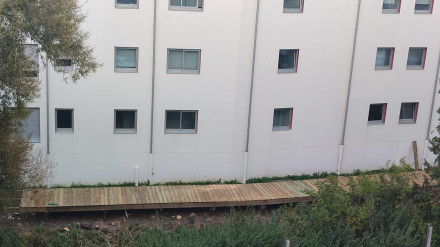 Proyecto de regeneración en A Xunqueira