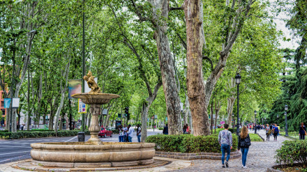 Paseo por Madrid