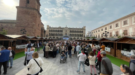 Celebración de la Fiesta del Primer Aceite de Jaén 2024