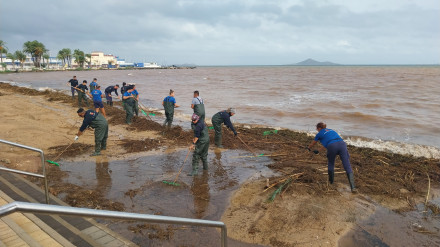 Limpieza de biomasas en Islas Menores