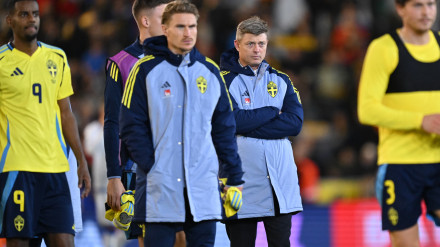 Selección de Suecia