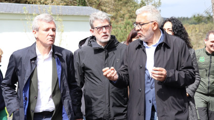 Rueda y Fernández
