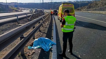 La Policía Canaria investiga el origen del atropello de un emú en Gran CanariaREMITIDA / HANDOUT por CEDIDO POR POLICÍA CANARIAFotografía remitida a medios de comunicación exclusivamente para ilustrar la noticia a la que hace referencia la imagen, y citando la procedencia de la imagen en la firma13/10/2025