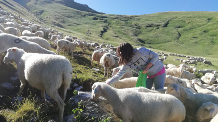 Natalia Manso con las ovejas en el monte
