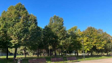 Los vecinos de Logroño responden: ¿Hay suficientes zonas verdes en la capital riojana?