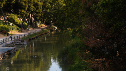 Canal Imperial de Aragón
