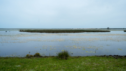 (Foto de ARCHIVO)Imágenes del Parque Nacional de Doñana. A 9 de abril de 2025 en Almonte, Huelva (Andalucía, España). La consejera de Sostenibilidad y Medio Ambiente de la Junta de Andalucía, Catalina García, ha visitado El Parque Nacional de Doñana para conocer de primera mano el estado actual de sus lagunas y zonas húmedas. Acompañada por técnicos del Espacio Natural de Doñana.Francisco J. Olmo / Europa Press09/4/2025
