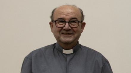 Bernardo Torres