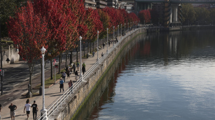 Los árboles con hoja de otoño este lunes junto a la ria de Bilbao