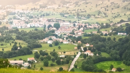 Selaya