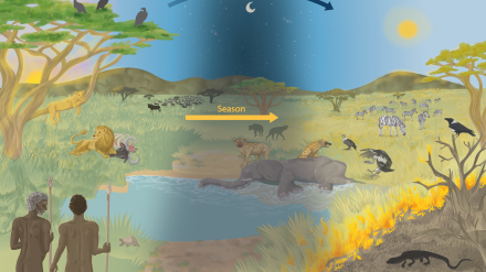 Científicos de la Universidad de Granada han participado en una investigación liderada por el Centro Nacional de Investigación sobre la Evolución Humana