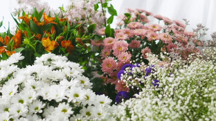 Floristería Villamiranda