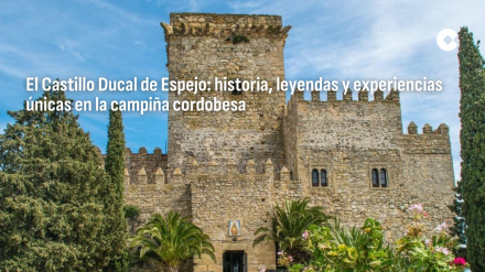 Castillo Ducal de Espejo