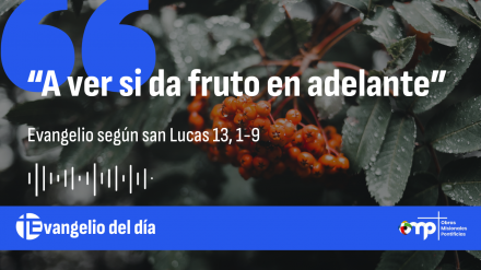 EVANGELIO DEL DÍA 25 OCT