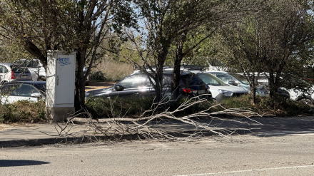Alerta del plan Ventcat