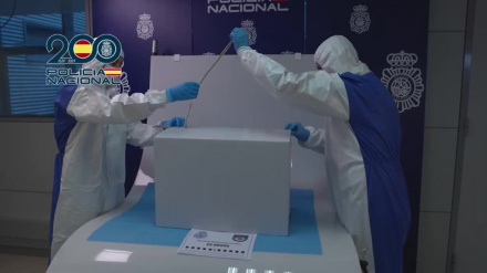 Imágenes del estudio del cuadro de Picasso