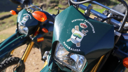 Efectivos del Seprona ha desarrollado la investigación