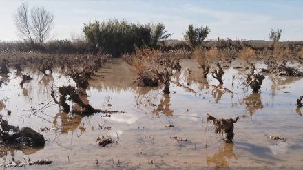 Vides embarrades documental