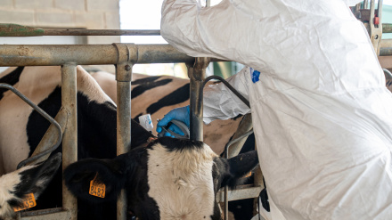 La organización agraria ha advertido que, de no atenderse sus peticiones, iniciará una serie de acciones de protesta que irán en aumento.