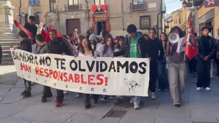 Estudiantes de Segovia en la manifestación de esta mañana