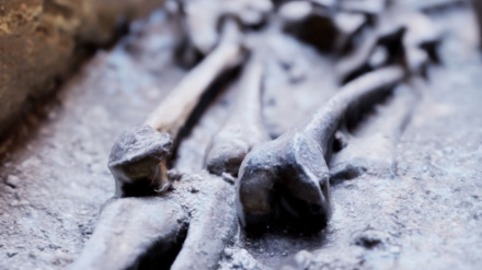 Restos humanos en el interior de la tumba