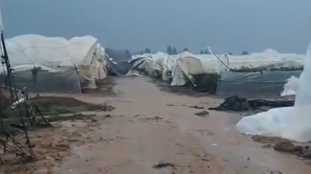 Finca 'El Divino' en el término municipal de Isla Cristina