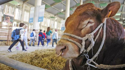 FEGASUR 2026 ASAJA Cádiz