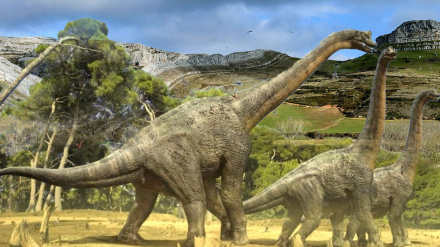 Saurópodos en las Loras