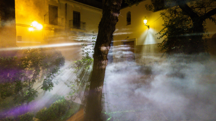 Intervención Cáceres Contemporánea