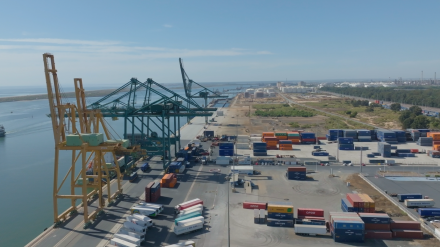 Panoramica Muelle Sur APH