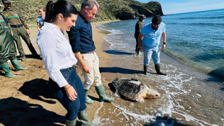 El presidente de Murcia, el alcalde de Lorca y la concejala de Medio Ambiente observan a la tortuga entrando en el mar