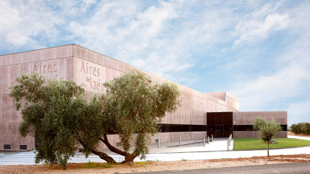 El aceite de oliva de Jaén se transforma en arte y viaja al futuro con la realidad virtual