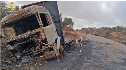Camión que provocó el incendio en la Campiña Sur