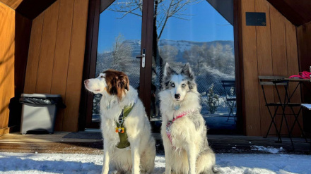 El Arrebol está adaptado para viajar con mascotas