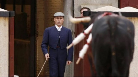 Florito en las Ventas