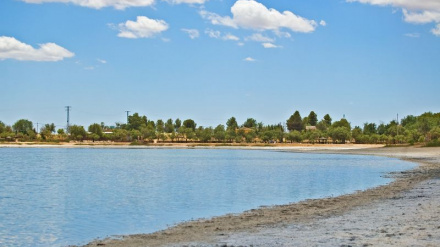 Lagunas de Villafranca de los Caballeros (Toledo)