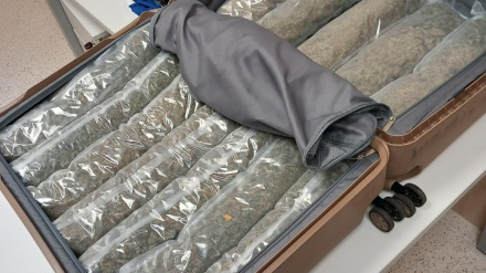 Los Mossos d'Esquadra han arrestado a un hombre de 33 años en La Jonquera (Alt Empordà) tras descubrir que transportaba más de seis kilogramos de marihuana ocultos en su maleta.