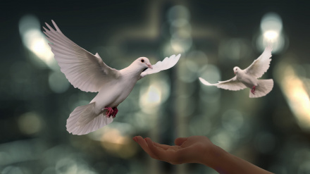 Miguel Lechuga, en su reflexión semanal 'Caminar en Mayúsculas', analiza las claves del pacto educativo global propuesto a los jóvenes por el Papa León 14