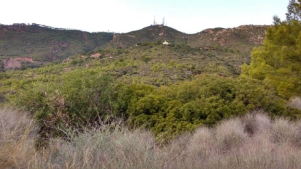 Desierto de las Palmas