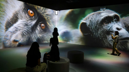 El arte también cura y transforma