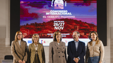 Baltanás (Palencia) acogerá el I Congreso Internacional sobre el paisaje del vino en el Cerrato palentino