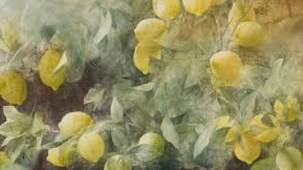 FUNDACIÓN PEDRO CANO