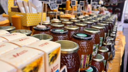 Expositor de Expomiel